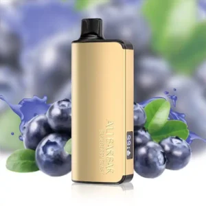 IALIBARBAR INGOT 9000 - Blueberry Blast