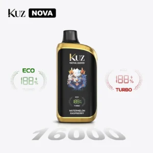 Watermelon Raspberry Kuz Nova 16000