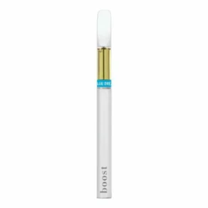 Boost Disposable THC Vape Pen - 1g